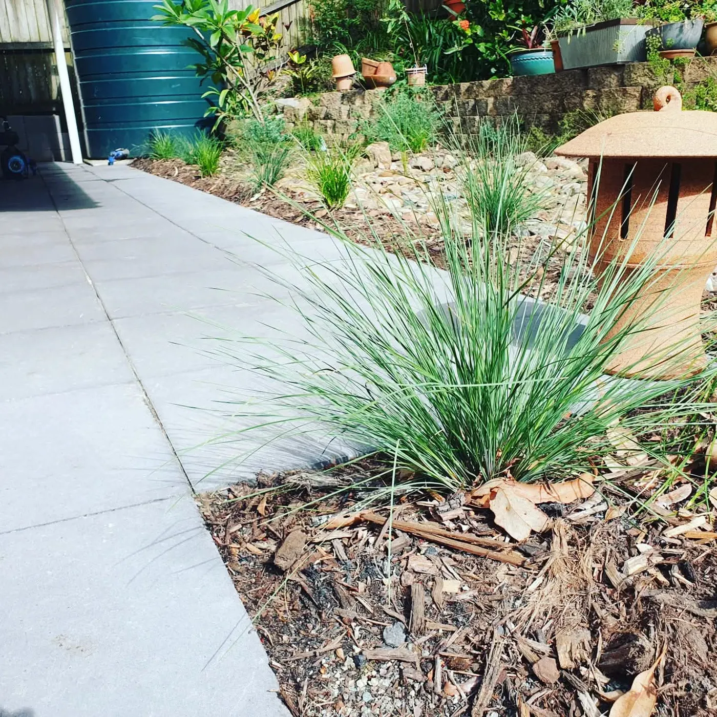Garden path alongside dry creek feature