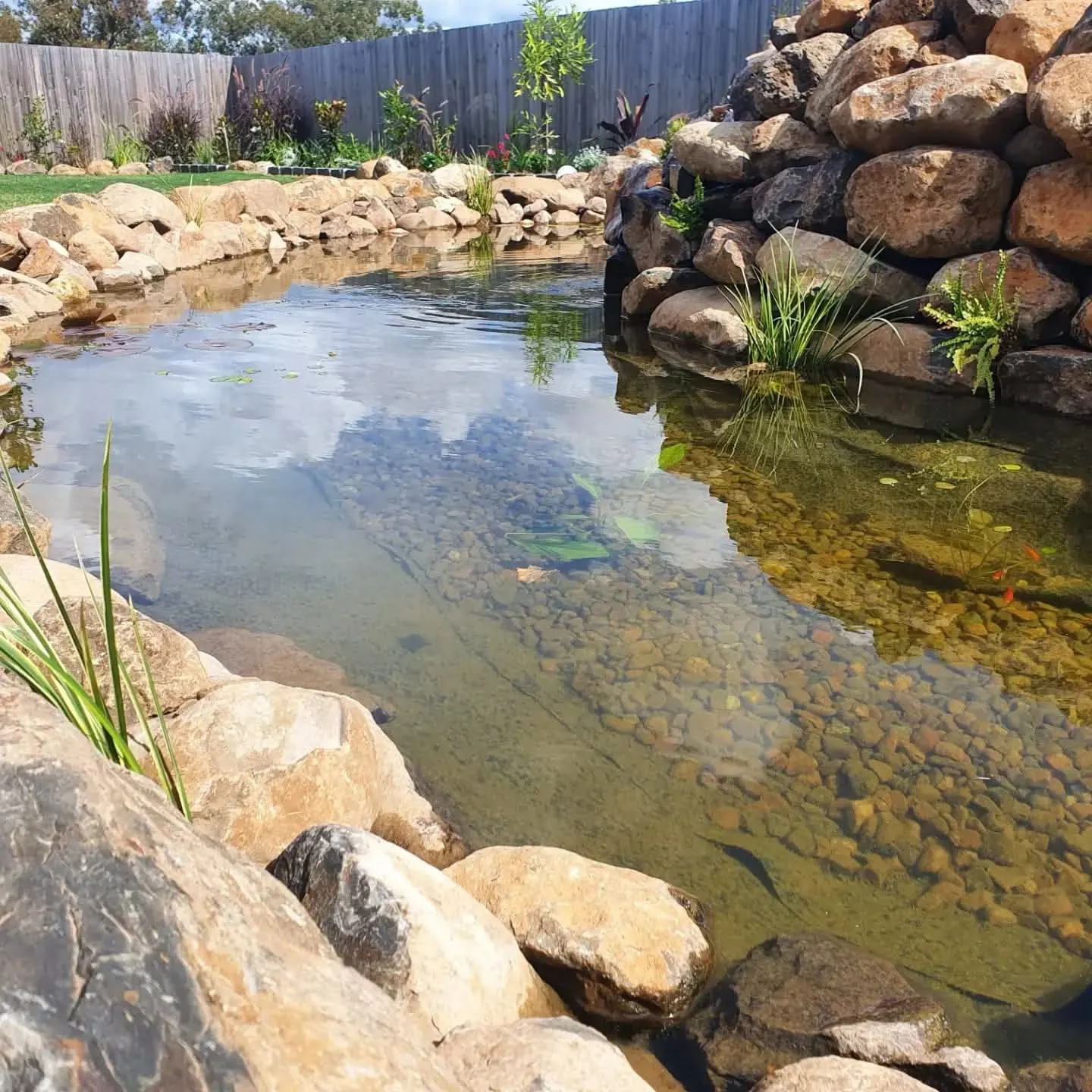 Natural pond with clear water, fish, and rock waterfall feature