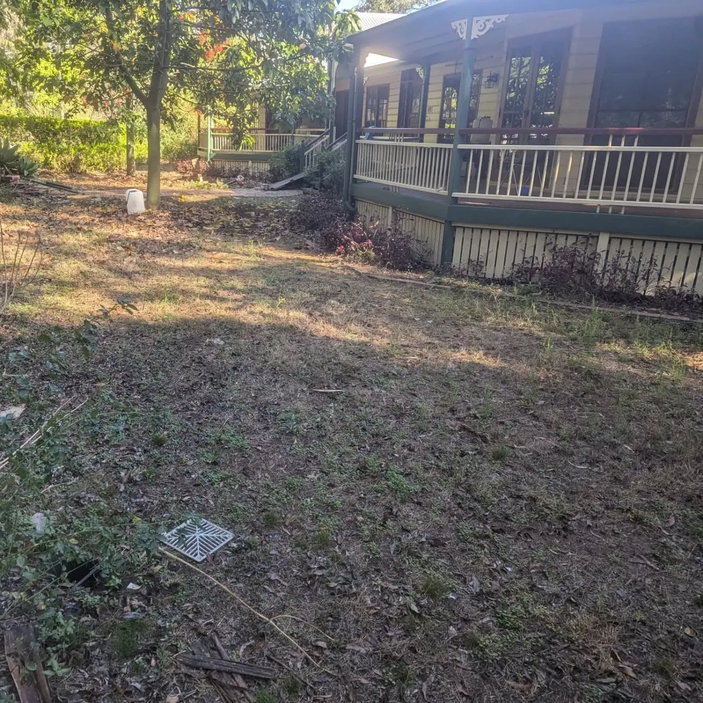 Lawn area before renovation