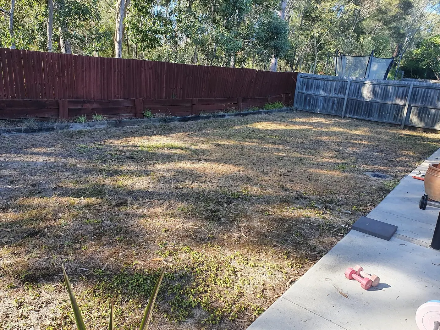 Backyard before turf and garden redesign